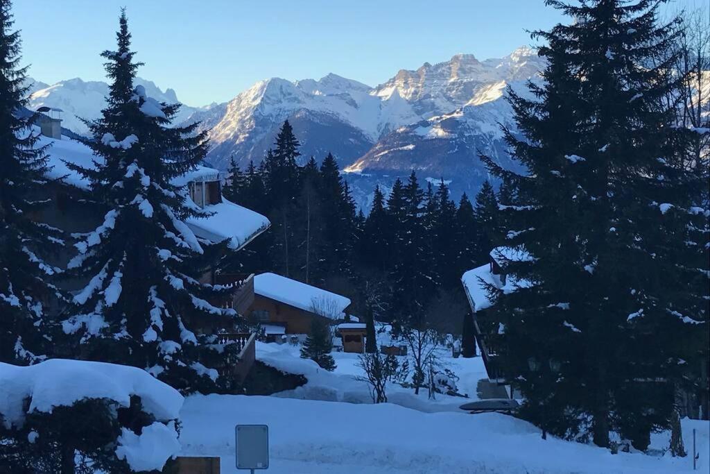 Route De La Residence Villars-sur-Ollon Εξωτερικό φωτογραφία